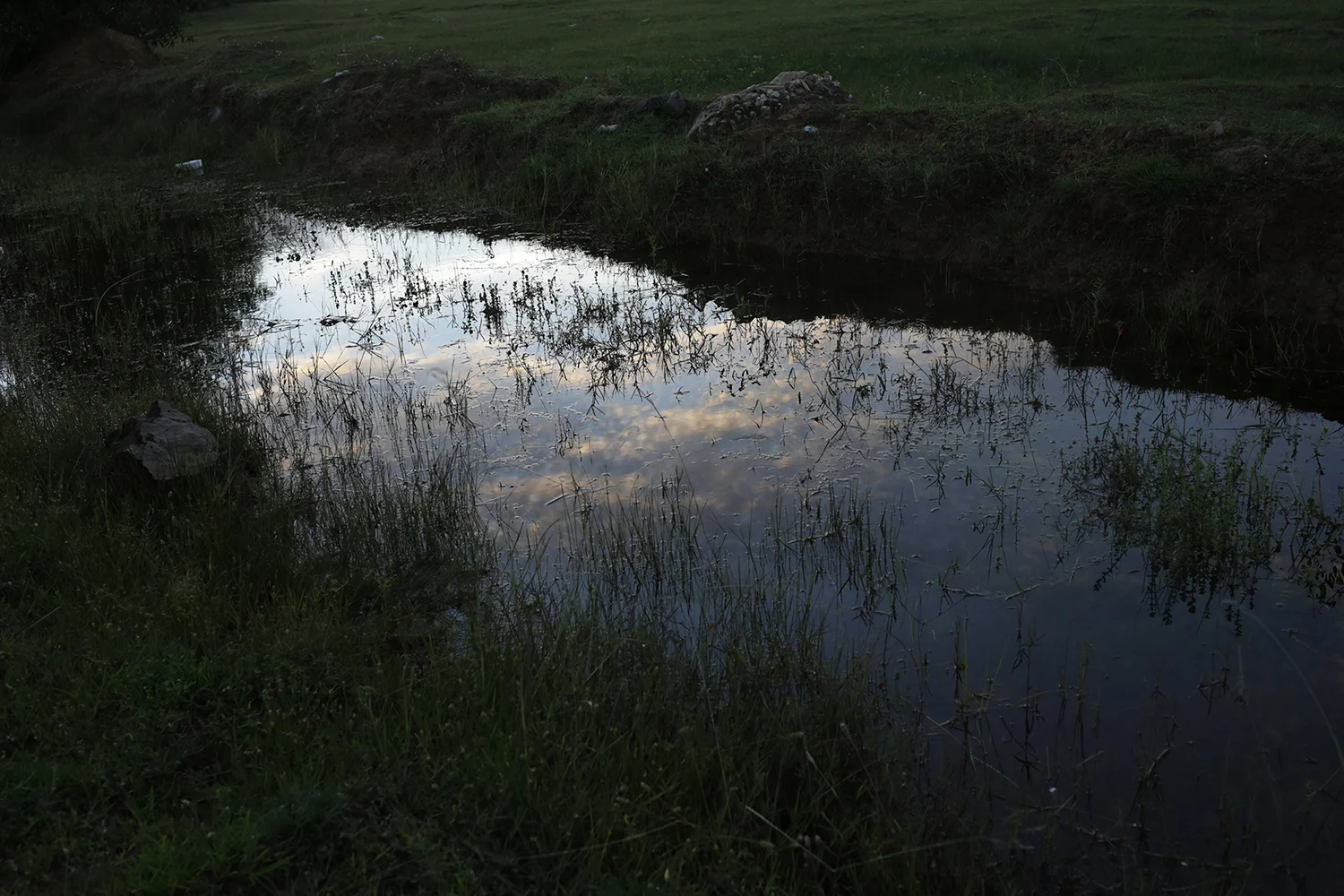 Analog photograph of a still pond at dusk reflecting soft clouds, surrounded by grass and rounded rocks, deep quiet mood